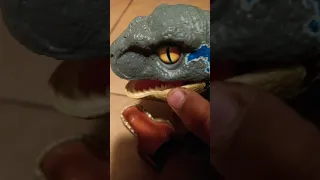 want to buy a bull T-Rex  head