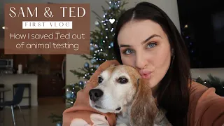How I saved Ted out of animal testing