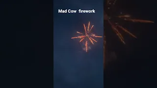 Mad Cow ￼ firework