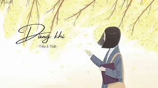 (Vietsub+Pinyin) Dũng Khí - Tiểu A Thất [勇气 - 小阿七]