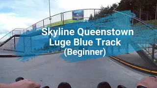 Skyline Queenstown's Luge Blue (Beginner) Track 360° video.