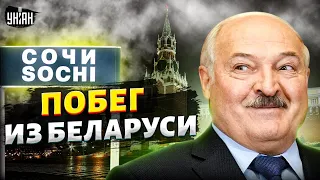 Экстренно! Лукашенко бежит из Беларуси. Минск на ушах: резиденцию перенесли в РФ