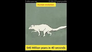 Human evolution