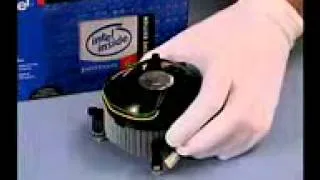 How to install and remove LGA775 processors and fan heat sinks   Spanish   Panama240p H 264 AAC