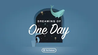 Dreaming of One Day Podcast | Marine Safari