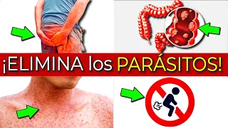 Consecuencias en tu cuerpo de tener parásitos (y qué es bueno para eliminarlos)