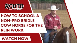 How To School A Non-Pro Bridle Cow Horse For The Rein Work.