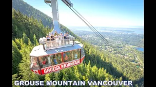 GROUSE MOUNTAIN  the peak of vancouver BC