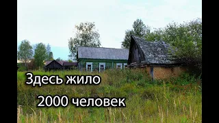 Заброшенная деревня в лесах Тамбовщины. 200 брошенных домов.  Ночёвка в заброшенной деревне.