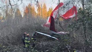 Small plane with 2 men on board crashes in Bellevue; no injuries reported