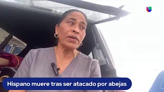 Trabajador latino muere tras ser atacado por abejas