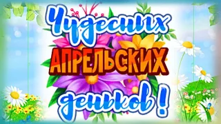 Счастливого Апреля, друзья! Добрых и теплых денечков!