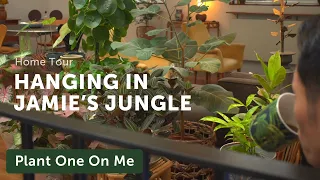 Jamie's Jungle Houseplant Home Tour — Ep 148