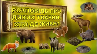 ДИКІ ТВАРИНИ. ХТО ДЕ ЖИВЕ? ПРИРОДА. ДОВКІЛЛЯ. ЗАНЯТТЯ. ДИТСАДОК