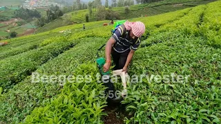 Beegees Tea Harvester BGS LS 500