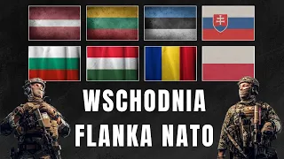 Wschodnia flanka NATO - Porównanie potencjału militarnego 8 państw. Polska BASTIONEM Europy 💪