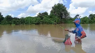 kalau umpan ini jangan di ragukan untuk ikan nila,,