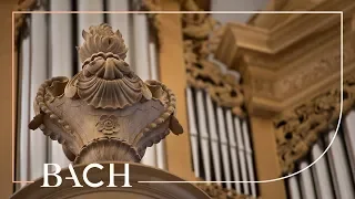 Bach - Sonata no. 1 in E-flat major BWV 525 - Zerer | Netherlands Bach Society