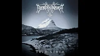 Psychosin Reviews: Borknagar - True north