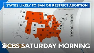 How the Supreme Court ruling will impact politics, midterm elections