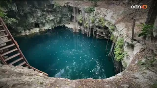 El Tren Maya y el Medio Ambiente