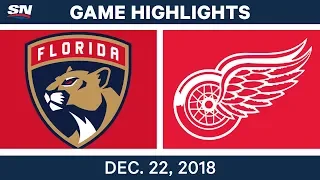 NHL Highlights | Panthers vs. Red Wings - Dec 22, 2018