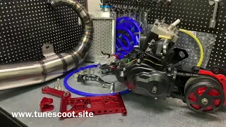 DIO50 engine AF18 125cc overview.. Powered by BWSP!