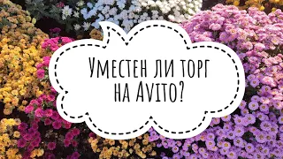 Уместен ли торг на Авито? Рассказываю про опыт в роли продавца и покупателя