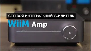 WiiM Amp — усилитель, который может всё | Замена Sonos и не только