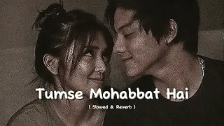 Tumse Mohabbat Hai - Slowed & Reverb -