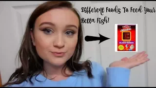 DIFFERENT FOODS TO FEED YOUR BETTA FISH!! | WHAT I RECOMMEND | ItsAnnaLouise