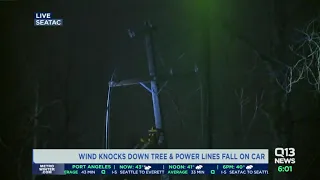 Wind knocks down tree, power lines fall on car