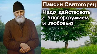 Надо действовать с благоразумием и любовью / Паисий Святогорец. Том 2. Духовное пробуждение