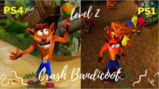 Crash Bandicoot level 2