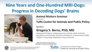 Animal Matters Seminar: Nine Years and One-Hundred MRI-Dogs: Progress in Decoding Dogs’ Brains