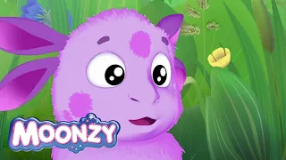 Moonzy | Luntik | All series about children | Cartoons for kids