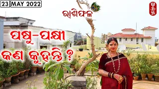 Dr. Jayanti Mohapatra || 23-May-2022 || ପଶୁ ପକ୍ଷୀ କଣ କୁହନ୍ତି  || Monday Special