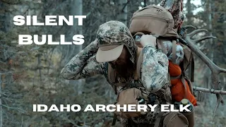 SILENT BULLS - Idaho Archery Elk 2023