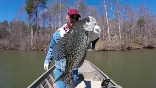 Crappie Fishing During A Cold Front - Lake Guntersville