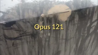 Opus 121