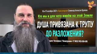 Душа привязана к трупу до разложения? Алексей Орлов