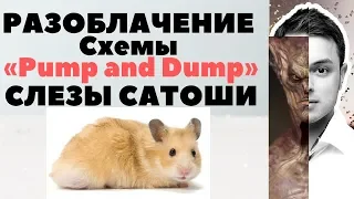 Разоблачение схемы СЛЕЗЫ САТОШИ (Рафаэль Манвелян)