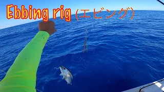 TRY when you can't catch fish!! /Ebbing rig/How to make tricks.!! Jigging fishing Tuna/Bonito