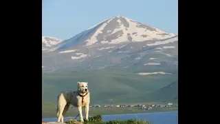 Древние Грузинские Мифы/обсуждение и взгляд клуба