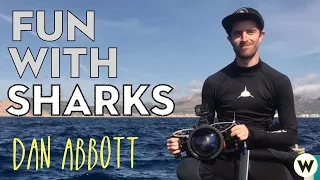 Sharks: Deadly Predators, Playful Puppies, or Unique Personalities? | Dan Abbott| Wondros Podcast 67