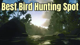 Best Small Bird Hunting Spot : Perfect Robin, Woodpecker, Oriole, Cardinal, Blue Jay more : RDR2