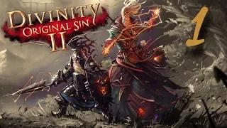 Divinity: Original Sin 2 - Episode 1 - Bingbingboys