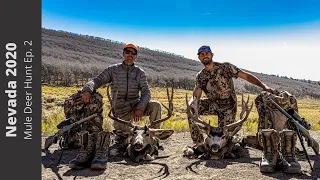 Nevada Mule Deer Rifle 2020 Ep.2