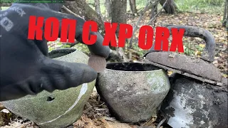 КОП С XP ORX/Разведка местности/Старая деревня