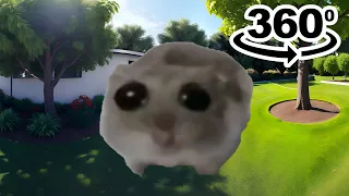 Sad Hamster Meme 360º